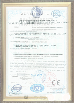 龙沙荣誉证书